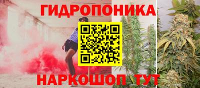 не бодяженный Гатчина