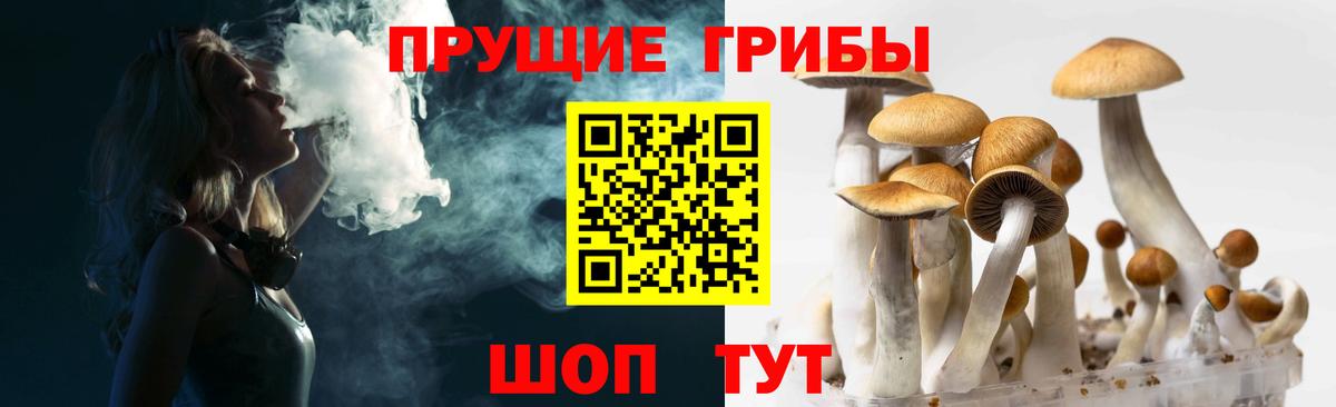 Галлюциногенные грибы мицелий Нижневартовск